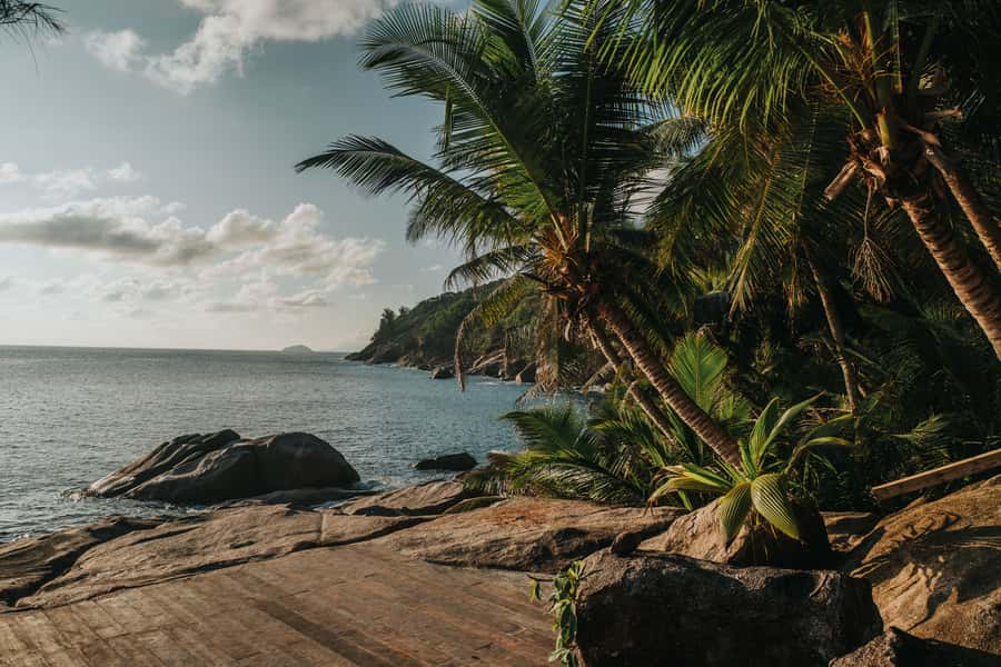 Mahé: Wild South Discovery Trip with Local Lunch - Who will enjoy this Mahé day trip?