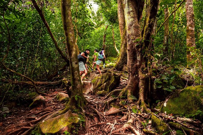 Nature trail - Morne Blanc (Mahe) - What the private format adds