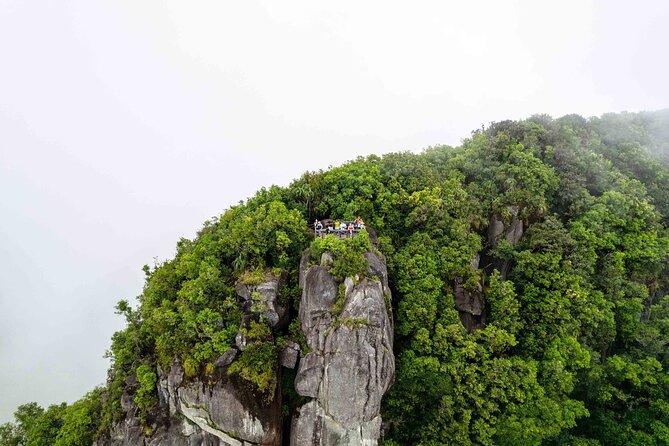 Nature trail - Morne Blanc (Mahe) - Starting near the Tea Tavern and tea country