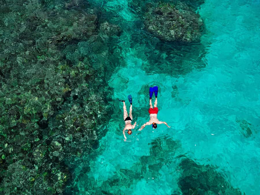 Praslin: Curieuse & St. Pierre Full-Day Boat Trip with Lunch - Key points at a glance