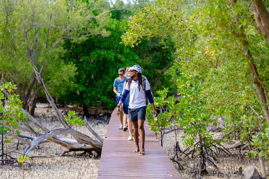 Praslin: Curieuse & St. Pierre Full-Day Boat Trip with Lunch - Is $93 good value?
