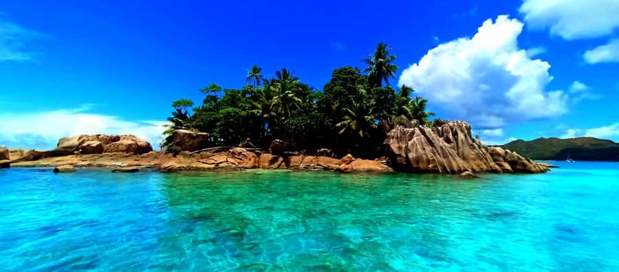 Praslin: Curieuse & St Pierre Island Day Trip with Barbecue - Key points at a glance