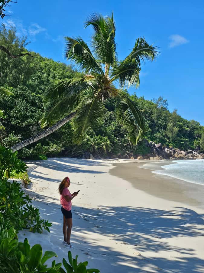 Praslin: Full Day Private Tour - Local food, fruit, fish, and small purchases