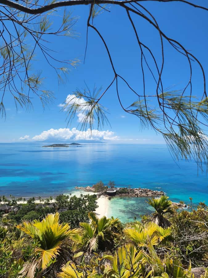 Praslin: Full Day Private Tour - Daniella makes the difference