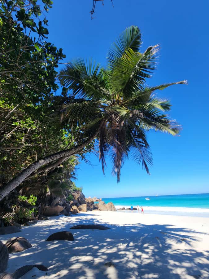 Praslin: Full Day Private Tour - Weather, packing, and pacing