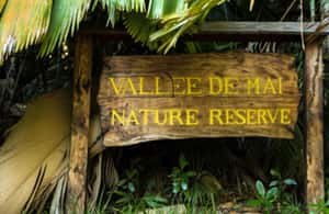 Praslin : Private tour - The best match for this experience