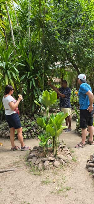 Praslin:Private Tour ValleDeMai,CoteD'orMuseum & AnseLazio - Four hours at Anse Lazio
