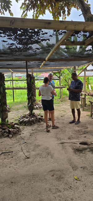 Praslin:Private Tour ValleDeMai,CoteD'orMuseum & AnseLazio - Who should book this outing?