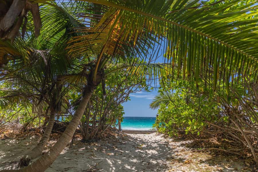 Praslin: Sister & Coco Island Full-Day Cruise and Creole BBQ - The beachside Creole BBQ at noon