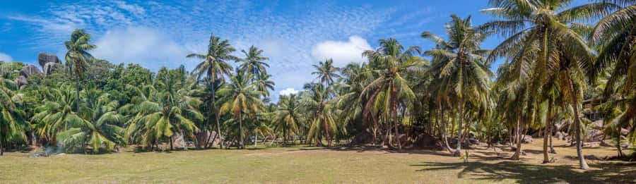 Praslin: Sister & Coco Island Full-Day Cruise and Creole BBQ - Who will enjoy this day most