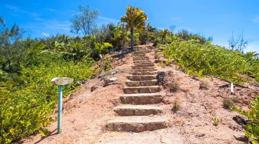 Praslin : Tour (Shared) - Anse Georgette as the practical lunch break