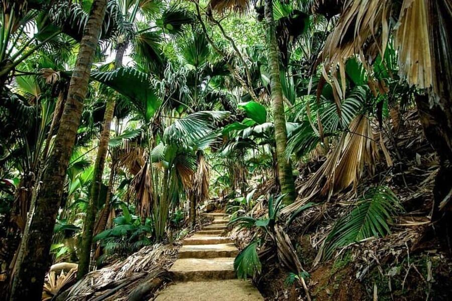 Praslin : Tour (Shared) - What the $117 price really covers