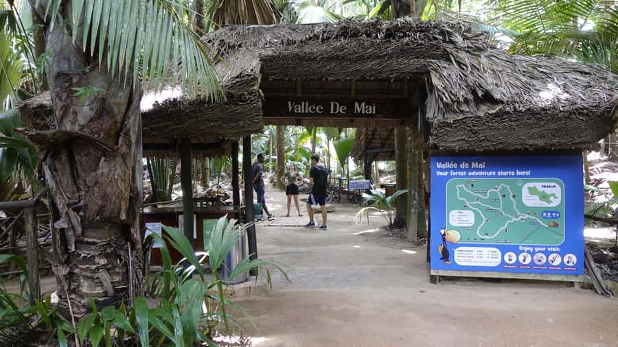 Praslin: Vallée de Mai and Anse Lazio Beach Full-day Tour - Key points at a glance
