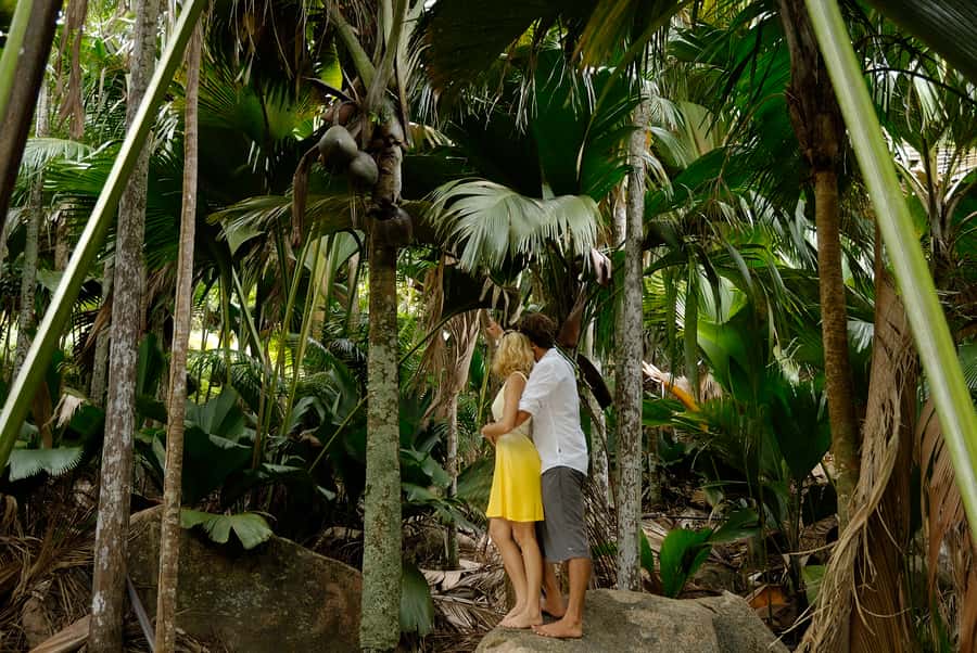 Praslin: Vallée de Mai and Anse Lazio Beach Full-day Tour - How the timing really works