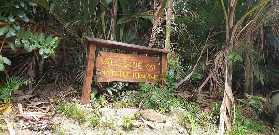 Praslin: Vallée de Mai and Anse Lazio Beach Full-day Tour - The guide can shape the whole day