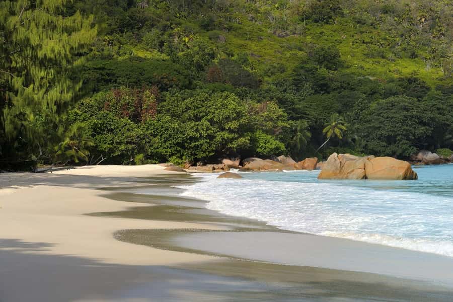 Praslin: Vallée de Mai and Anse Lazio Beach Full-day Tour - What the $76 price includes