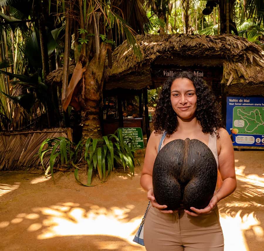 Praslin: Vallee de Mai Guided Hike with Transfer - Key points before you book