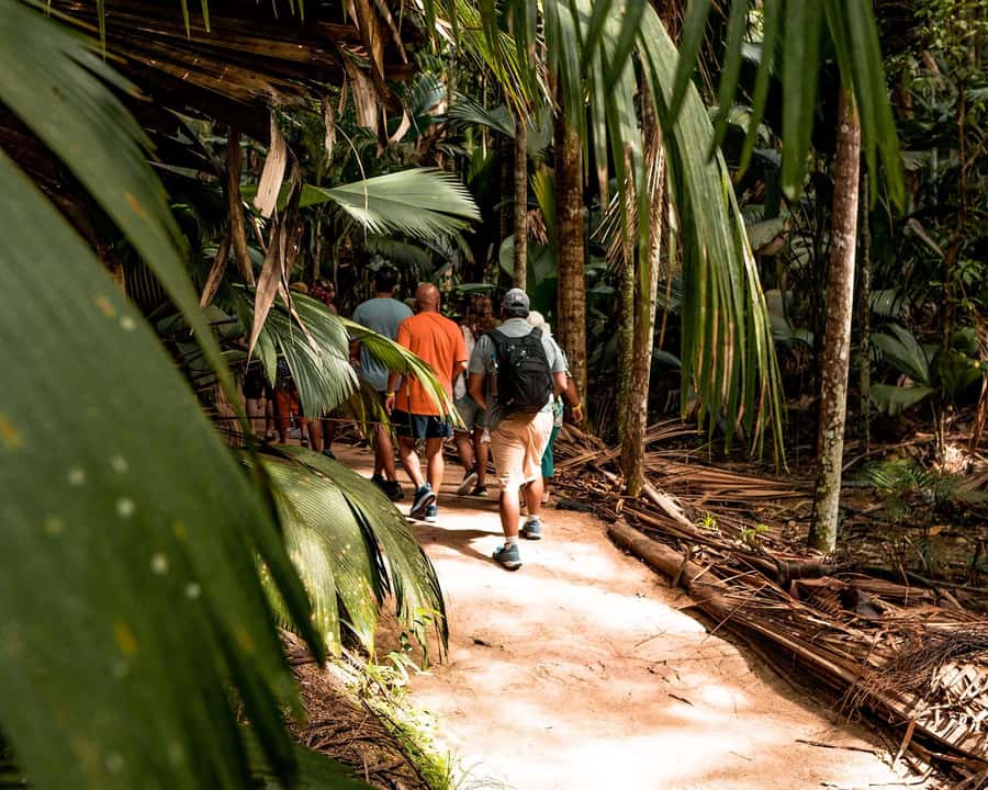 Praslin: Vallee de Mai Guided Hike with Transfer - What the two-hour route feels like