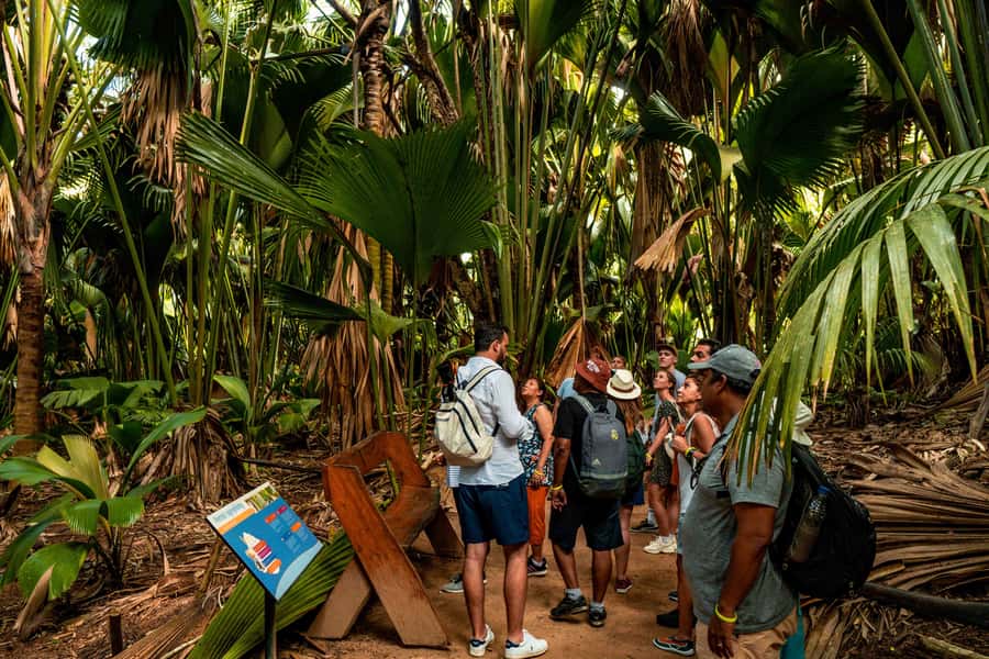 Praslin: Vallee de Mai Guided Hike with Transfer - The Coco de Mer and its strange fame