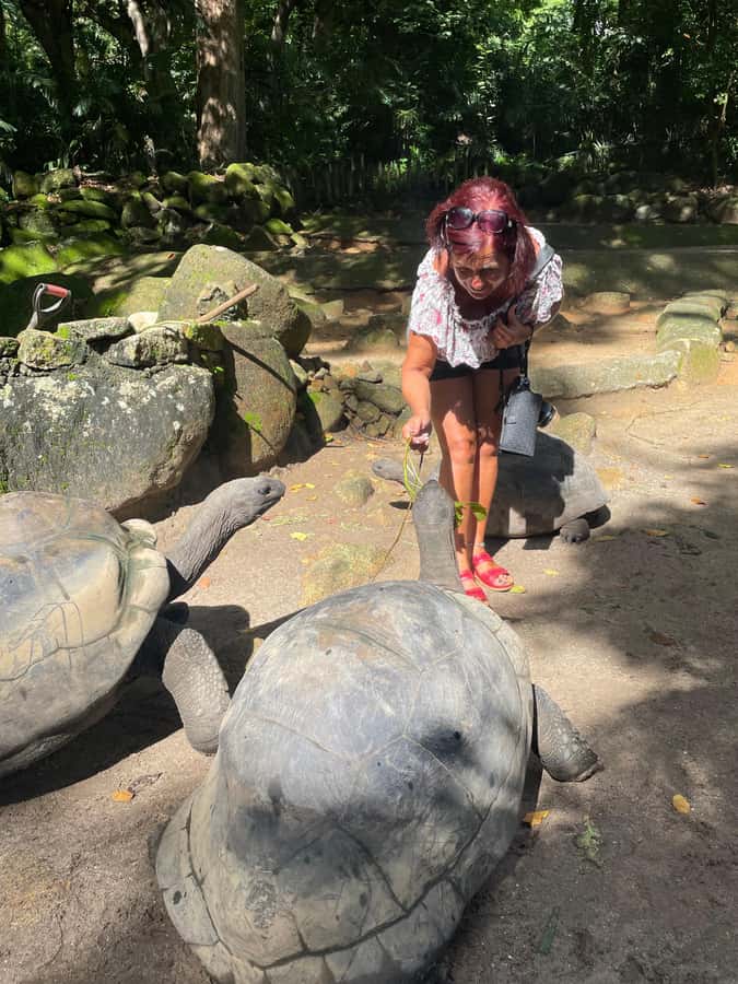 Private Customized Tour: Explore Mahe beyond the ordinary - Extra choices for building your own day