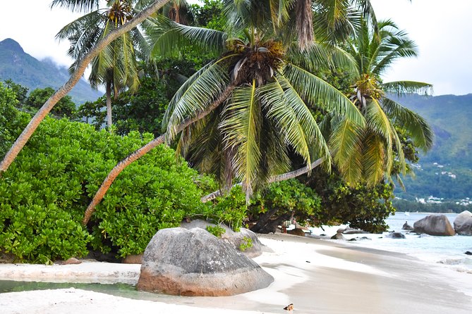 Private Half Day Mahe Island Tour (1-5 persons) - Why the private format matters