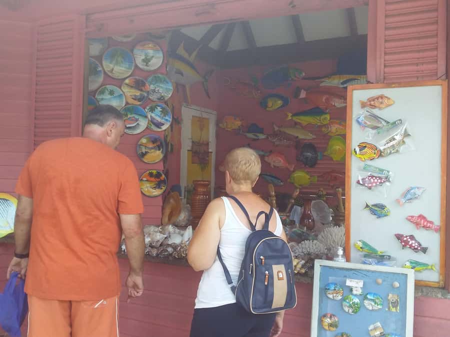 Private half day tour with free rum tasting - Starting in Victoria, Mahé’s compact capital