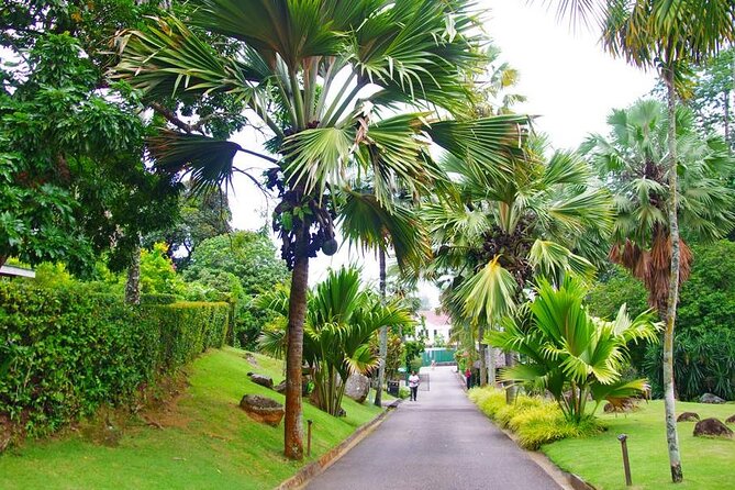 Private Mahe Island Full day Tour with Pickup - Beau Vallon: Mahé’s liveliest beach stop