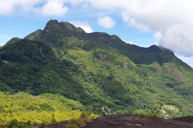 Private Nature Tours & Trail 1 to 5 persons - What Nils Adds to the Experience