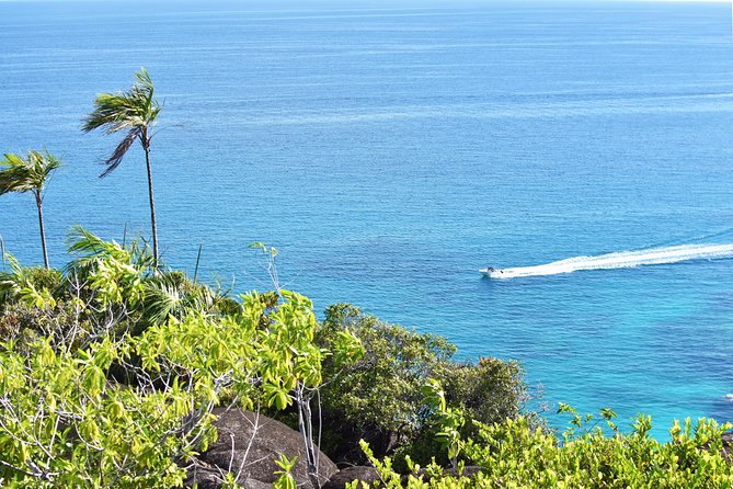 Private Nature Trail (Hiking) (1-2 persons) - Morne Blanc is the serious nature option
