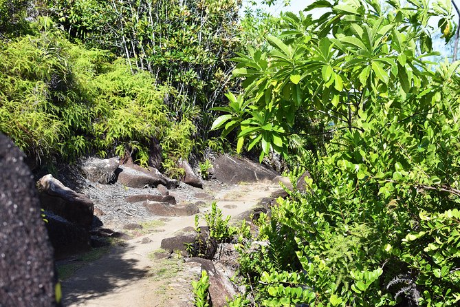 Private Nature Trail (Hiking) (1-2 persons) - What the $226.26 price really covers