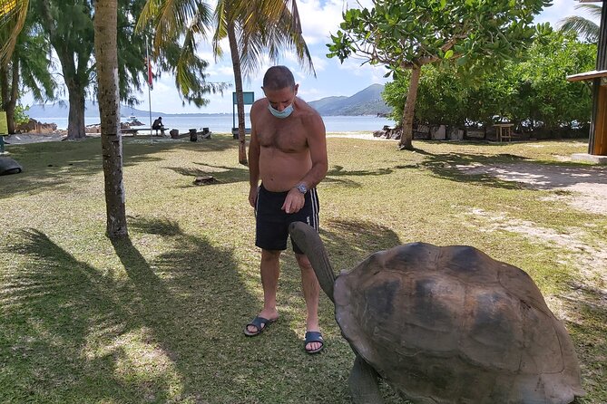 Private Seychelles Islands Tour by Boat with snacks & drinks - Curieuse Island: tortoises, beaches, and a walk worth planning for