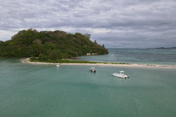Reef Safari - Snorkeling, Fish Feeding & Lunch (Private Day Trip) - A private lunch with seafood and fresh fish