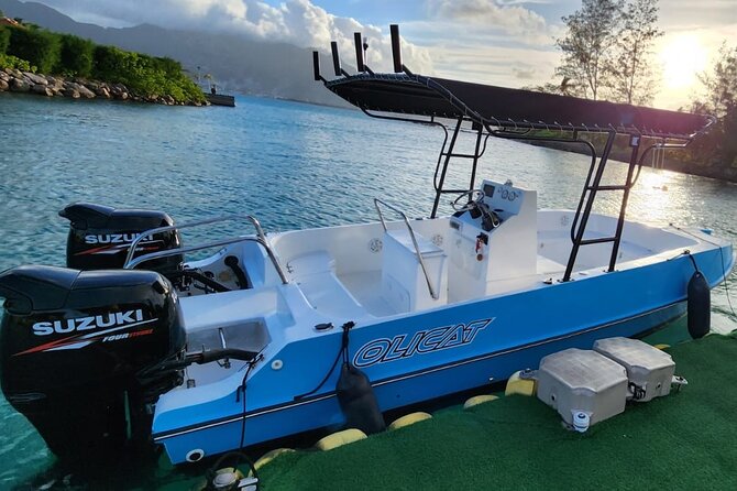 Reef Safari - Snorkeling, Fish Feeding & Lunch (Private Day Trip) - What the $920.61 price really buys
