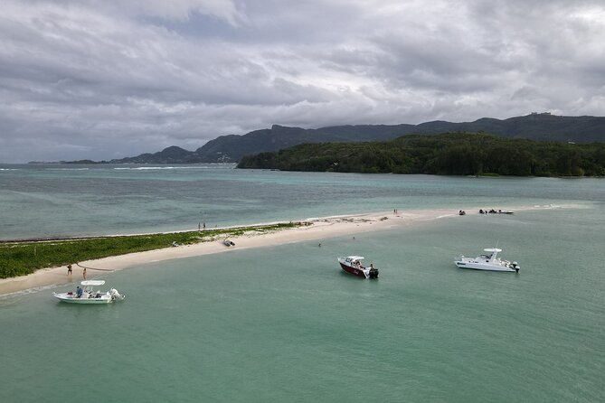 Reef Safari - Snorkeling, Fish Feeding & Lunch (Private Day Trip) - Who will enjoy this half-day outing most