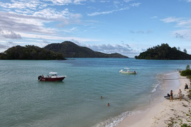 Reef Safari - Snorkeling, Fish Feeding & Lunch (Private Day Trip) - Booking, weather, and practical details