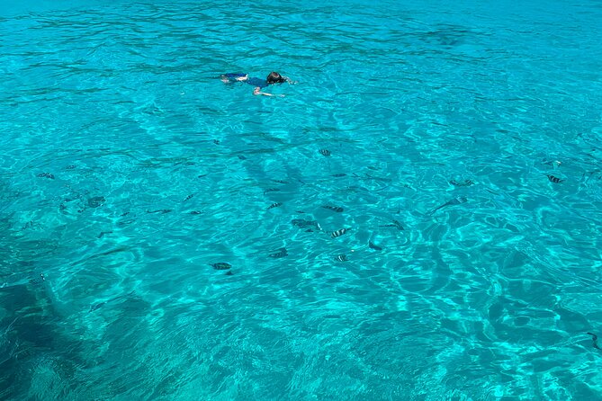 Reef Safari - Snorkeling, Fish Feeding & Lunch (Shared Day Trip) - Cruising from Victoria into St. Anne Marine National Park