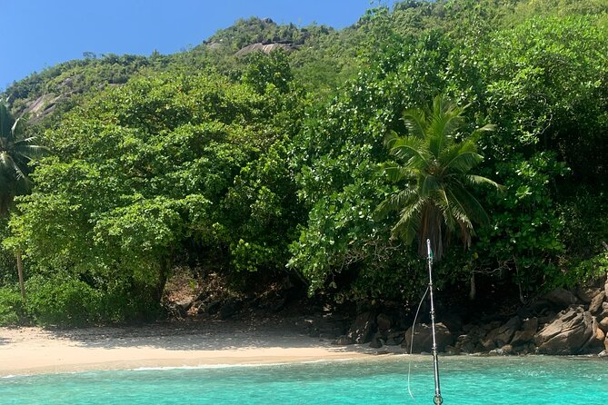 Reef Safari - Snorkeling, Fish Feeding & Lunch (Shared Day Trip) - What the shared format is really like