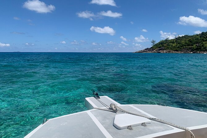 Reef Safari - Snorkeling, Fish Feeding & Lunch (Shared Day Trip) - Who should book this day trip?