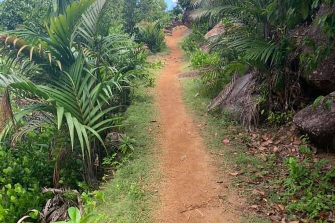 Relaxed hike to Anse Major | Mahe, Seychelles, Great Private Tour - Walking the narrow Anse Major Trail