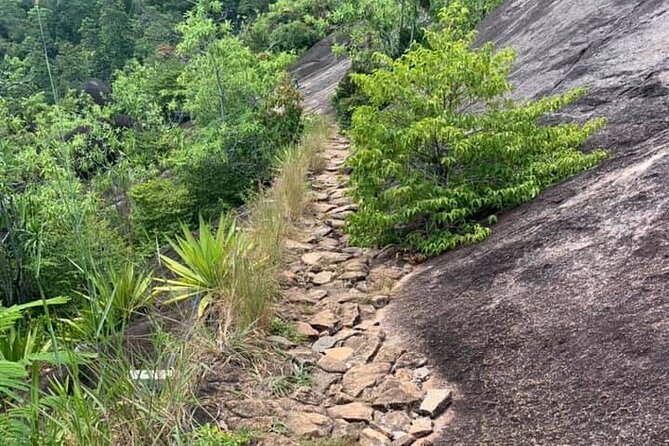 Relaxed hike to Anse Major | Mahe, Seychelles, Great Private Tour - Arriving at the small bay