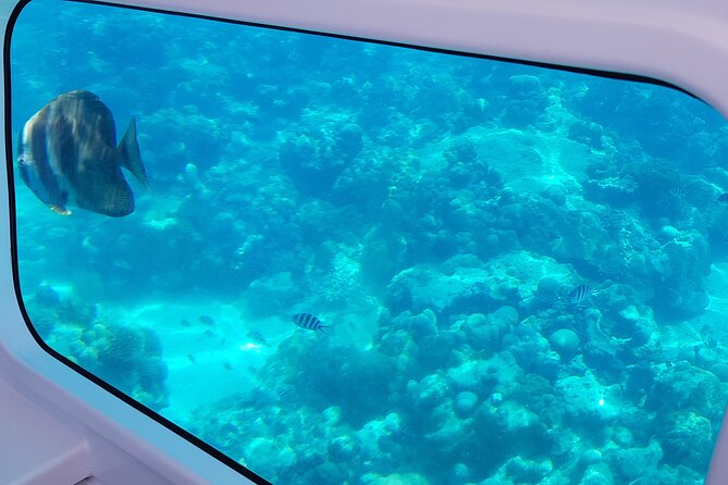 Semi Submarine Tour in Saint Anne Marine National Park - Key things to know before boarding