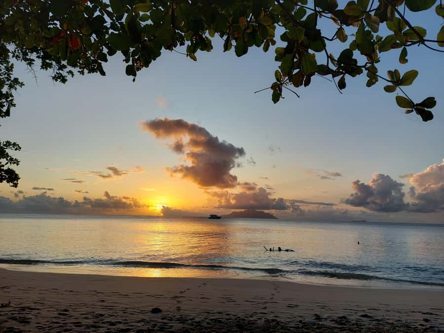 Seychelles: Best of Mahe Private Tour - Botanical Garden, giant tortoises, and coco de mer