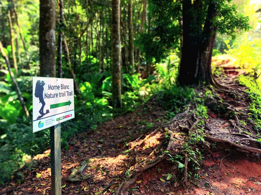Seychelles: Best of Mahe Private Tour - What Colin adds to the day