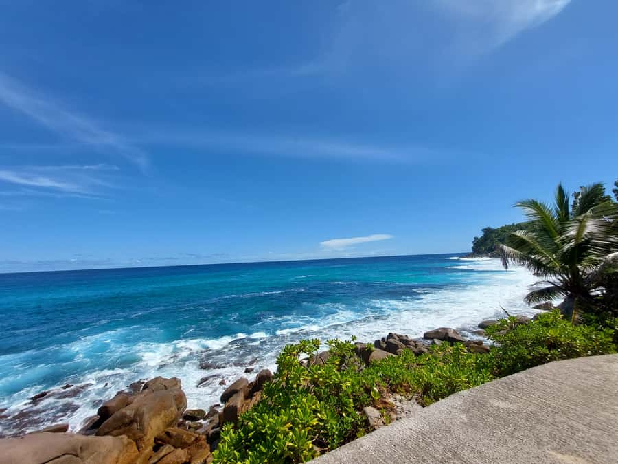 Seychelles: Best of Mahe Private Tour - Timing, pickup, and practical details