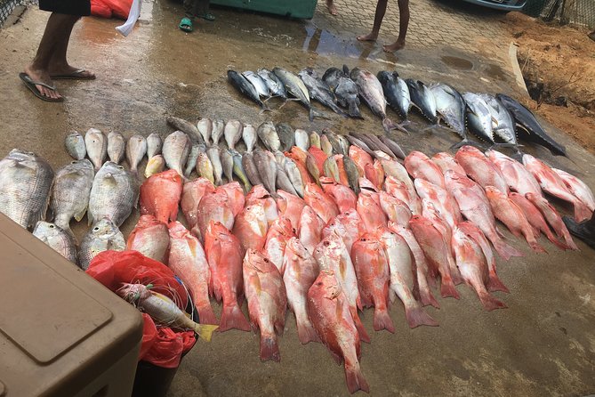 Seychelles Fishing - Key points to know before booking