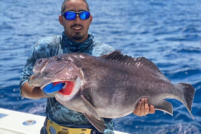 Seychelles Fishing - Is $809.24 a fair price?