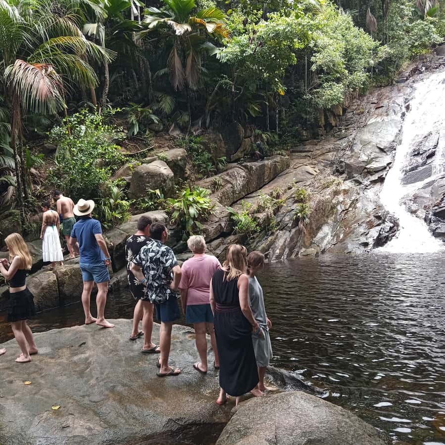 Seychelles: Full Day Private Tour in Mahe (1 to 5 Person) - Anse Takamaka for lunch, swimming, and tortoises