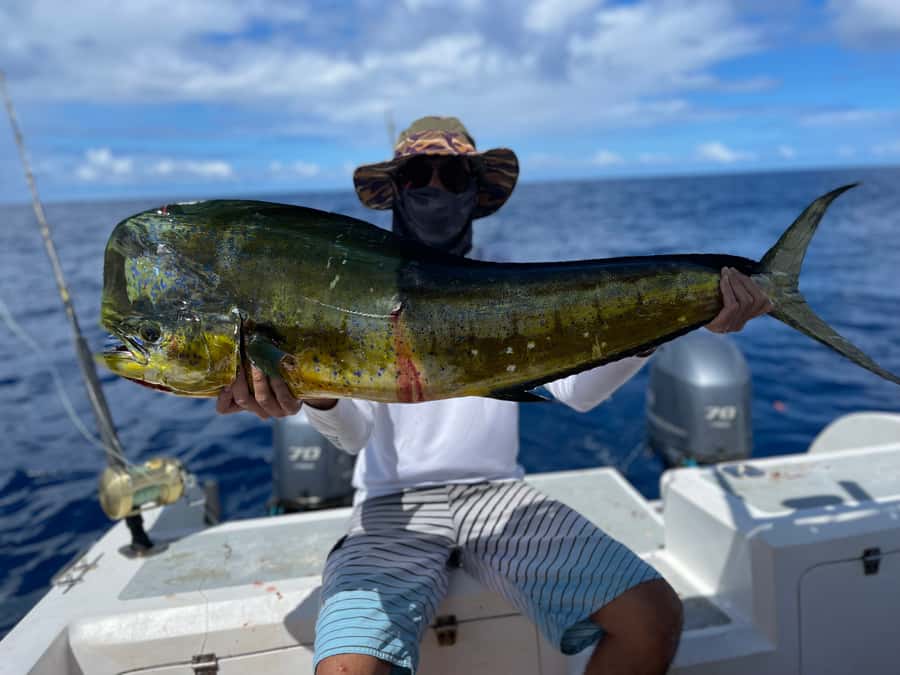 Seychelles: Guided Fishing Trip with Pickup and Equipment - What the fishing targets tell you