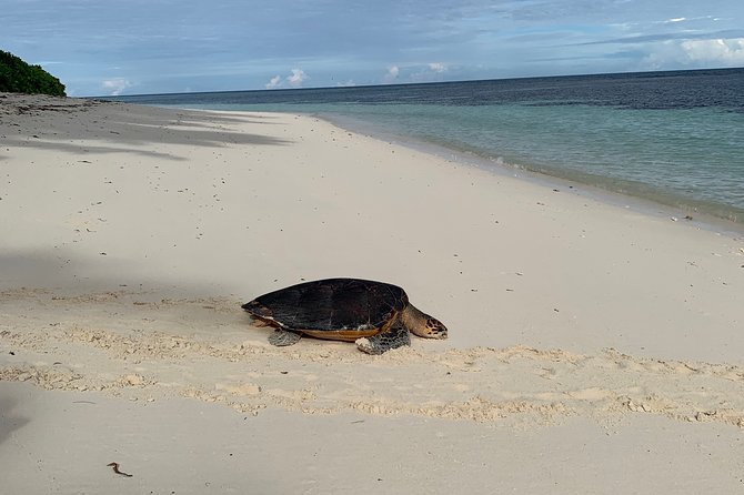 Seychelles Island Tour (PRIVATE 4 hours or 8 Hours) - Port Glaud and Port Lanuay: a final coastal stop