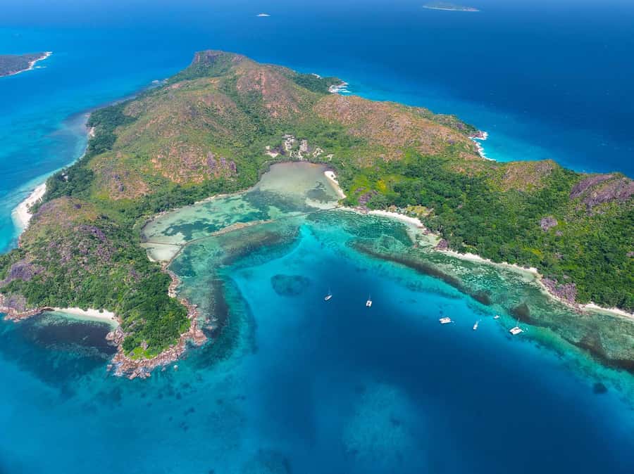 Seychelles: St Pierre and Curieuse Catamaran Tour with Lunch - Curieuse: tortoises, mangroves, and a manageable walk